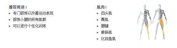 365英国上市官方网站健身器材