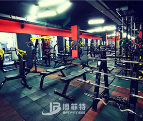 格鲁吉亚客户健身房图片 英国上市公司官网365健身器材案例展示