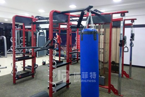 英国上市公司官网365印度客户健身房案例