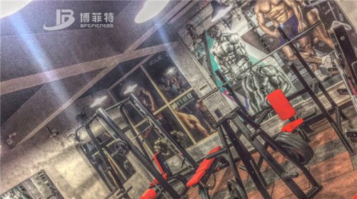 伊拉克客户的健身房图片 英国上市公司官网365健身器材案例