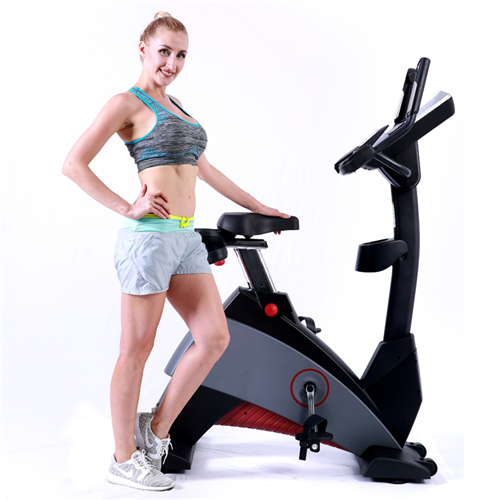 BCE601 立式健身车厂家 健身房器材工厂批发