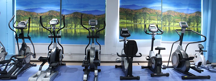 英国上市公司官网365健身车