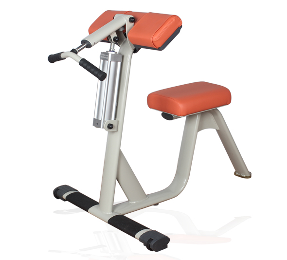 BFT6003 女生二头肌/三头肌训练器 广州健身器材厂家大图展示1