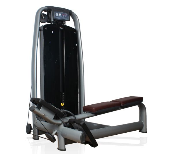 BFT2007豪华背部训练器 低拉划船器 坐式低拉背肌大图展示1