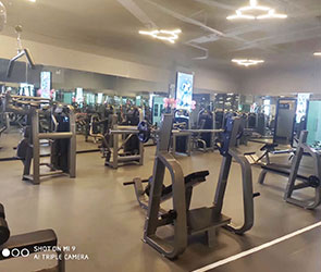 英国上市公司官网365健身器材东莞客户健身房案例