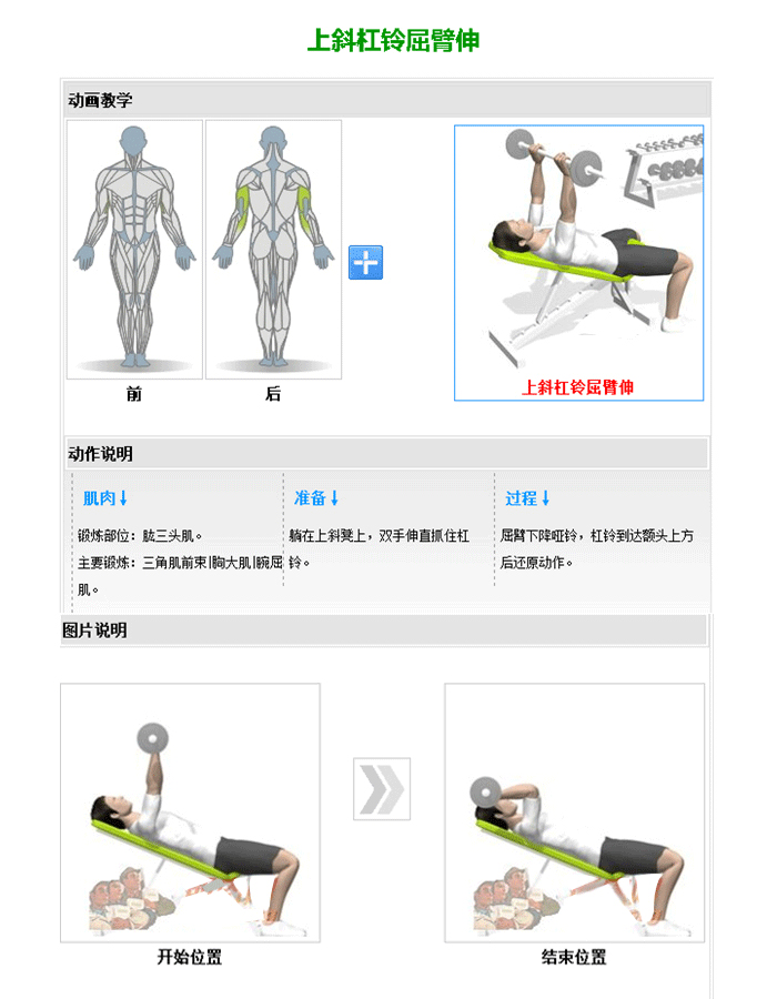 可调哑铃训练椅 推举哑铃训练器 英国上市公司官网365室内健身器材